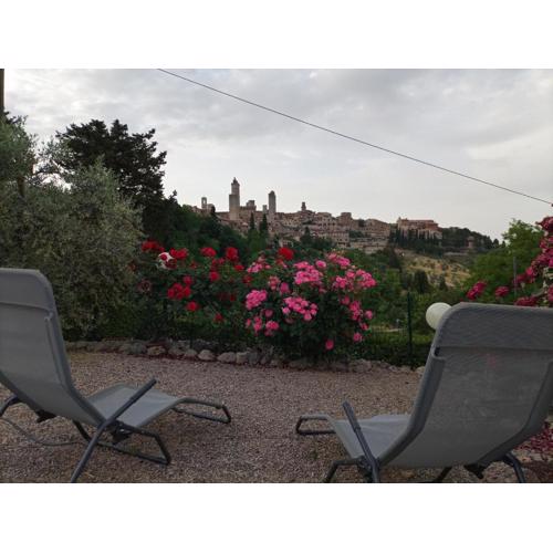 Agriturismo Il Colto
