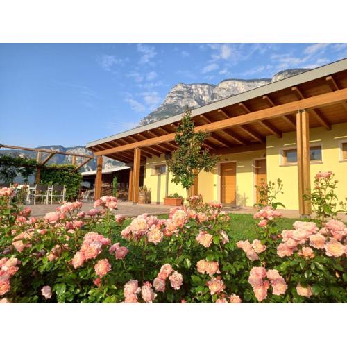 Agriturismo L\
