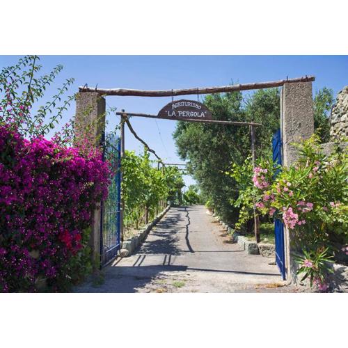 Agriturismo La Pergola