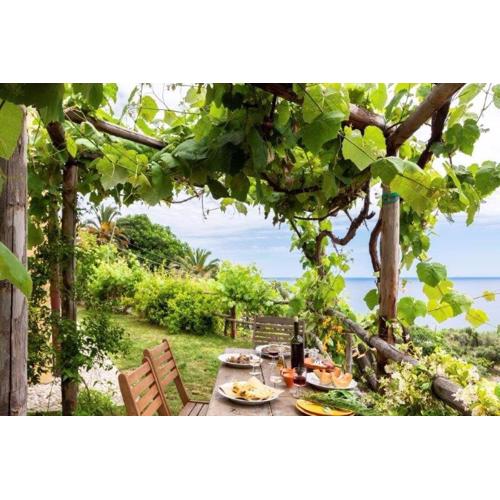 agriturismo la selva