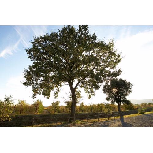 Agriturismo Lucerna del Lago Prile