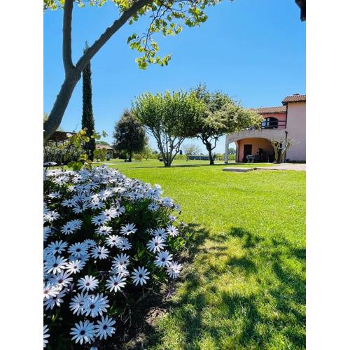 Agriturismo Paradiso