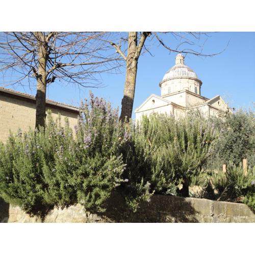 agriturismo san biagio