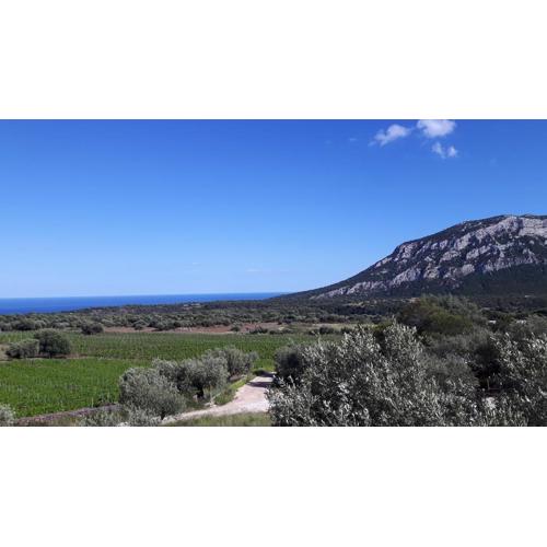 Agriturismo Su Barcu