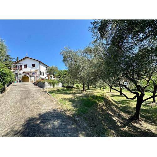 Agriturismo Uliveto Bartolomeo