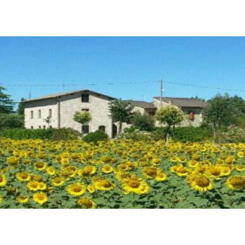 Agriturismo\