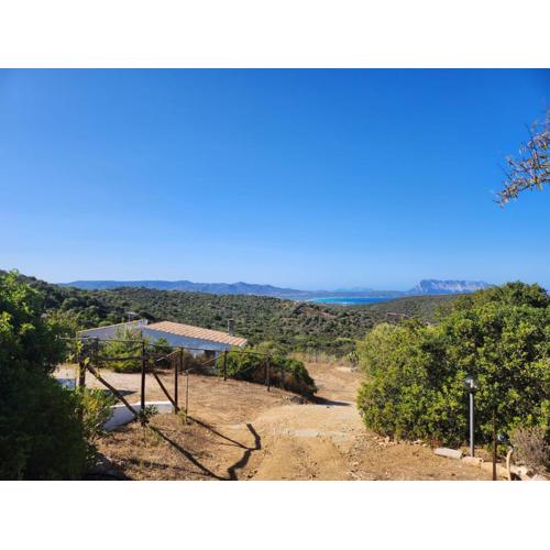 Agrustos Paradise