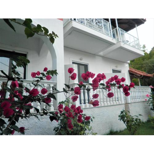 Aktipis Studios
