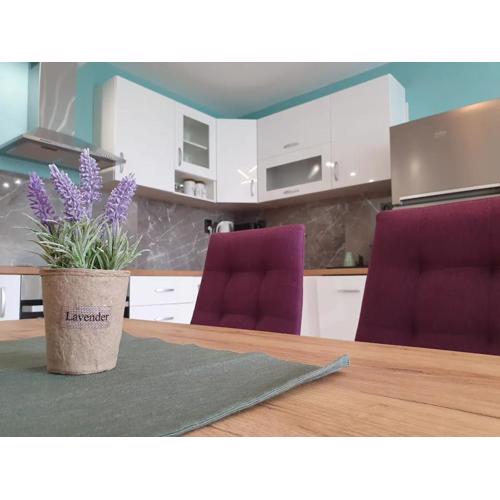 Al Malina 3BDR Family Apt with Parking Space near Airport and IEC