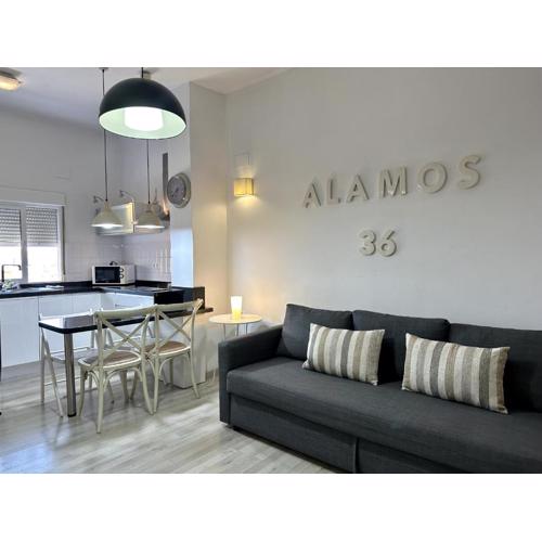 Alamos Suite
