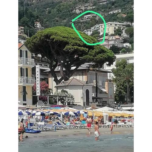 Alassio Riviera SeaRooms con Cucina