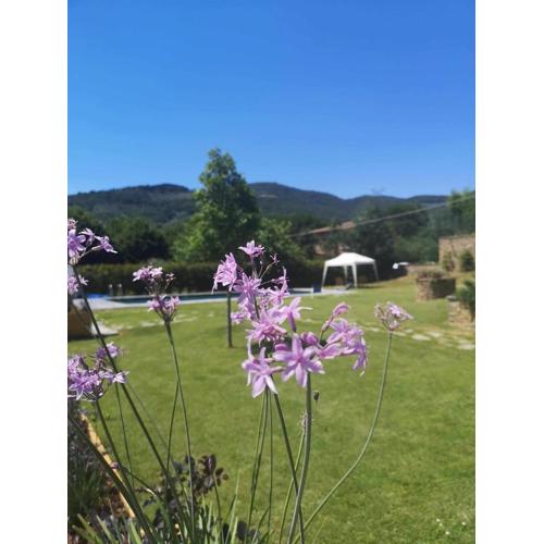 Alba Morus Bed & Breakfast sentiti a casa nel cuo