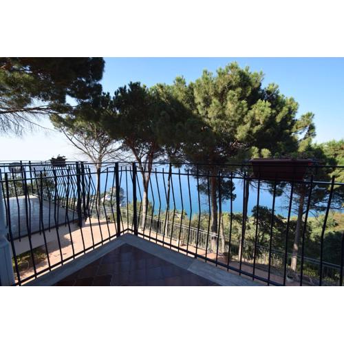 Alba Tra I Pini B&B