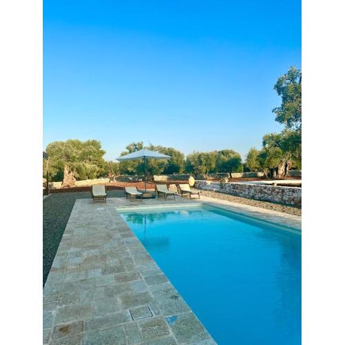 Albero Dolce Home&Pool