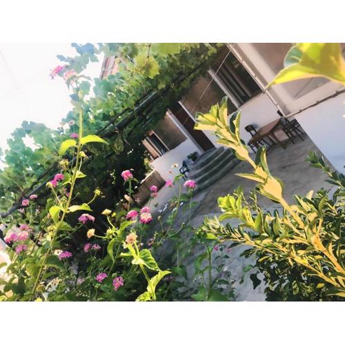 Alesio House
