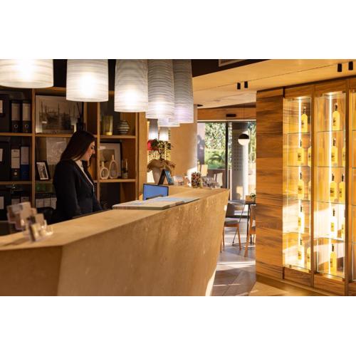 Alevic Hotel Sirmione