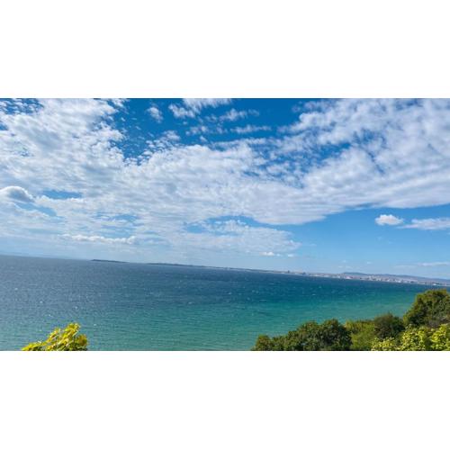 ALEX BEACH Apartello·com - Amazing apartments with sea view!
