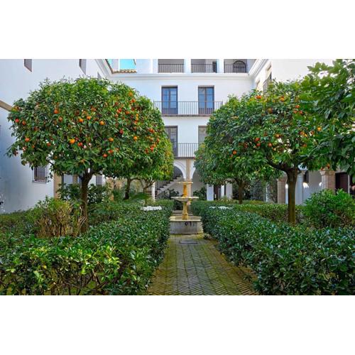 Alfaro Historic Aparment