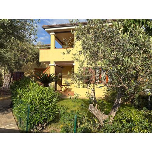 Alga House