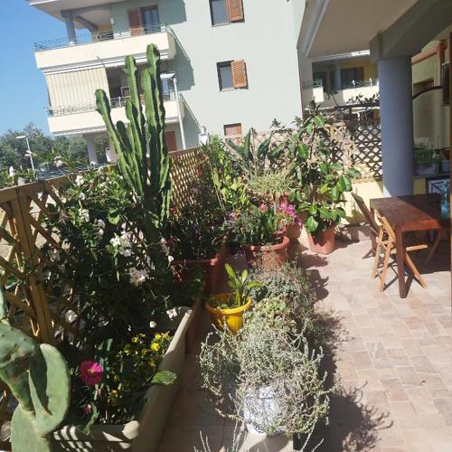 Alghero Lovely Flat
