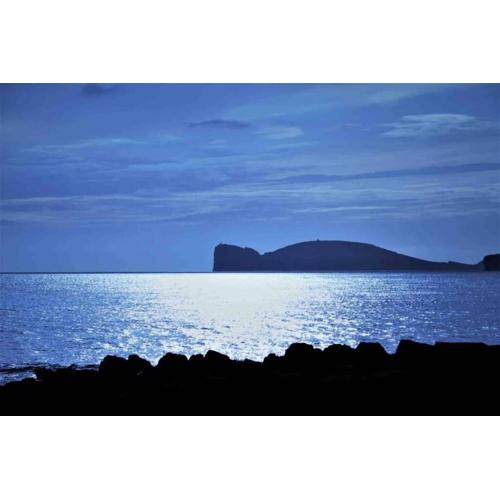 ALGHERO SUN & SEA - Spiaggia a 50 metri