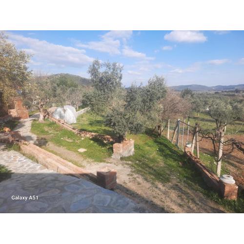 Ali dede kamp karavan bungalow