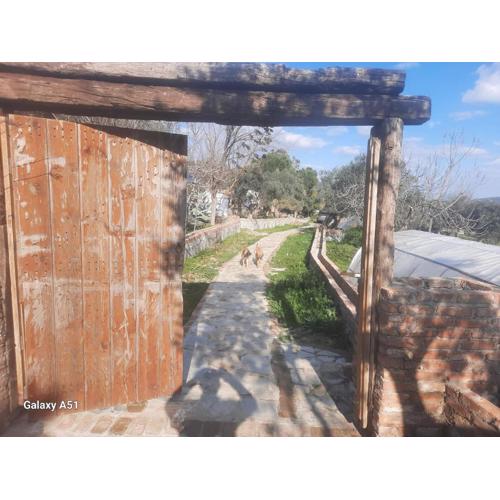 Ali dede kamp karavan bungalow