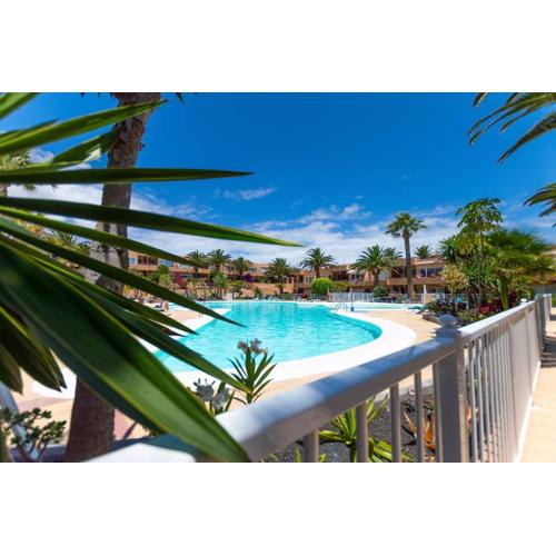AliceBungalowPoolView-Summer