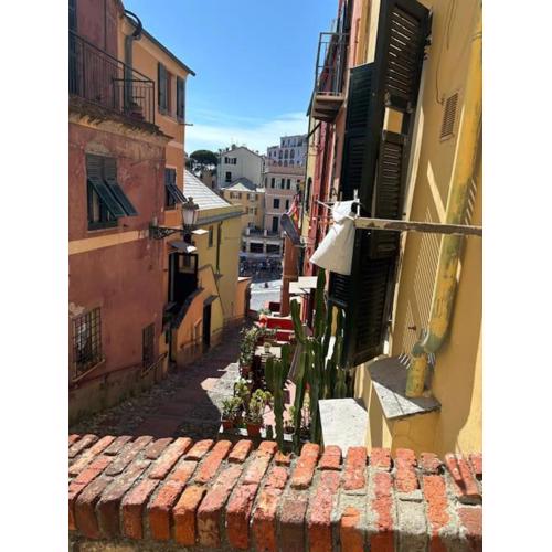 AliGre a Boccadasse - Genovainrelax