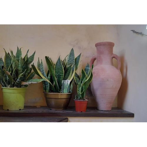 Alimat Guesthouse