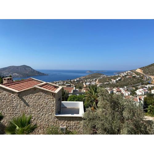 Alize Apartları1