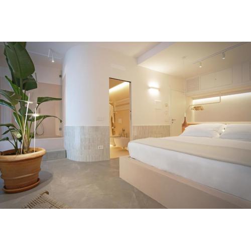 allegra suites