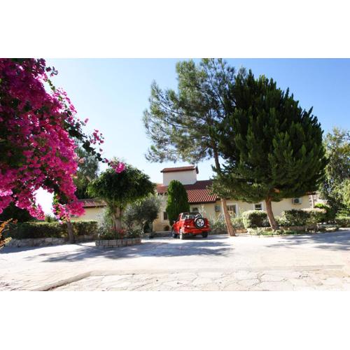 Alonia Villas