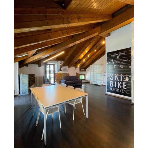 Alp Apartments SKI & BIKE - Vevey23
