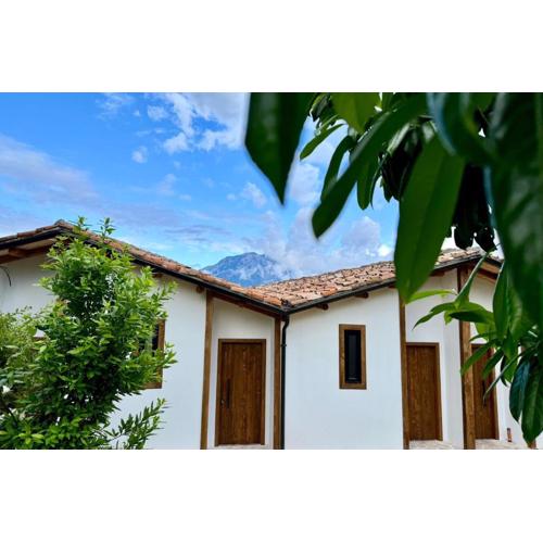 Alpeta Agrotourism & Winery - Roshnik , Berat
