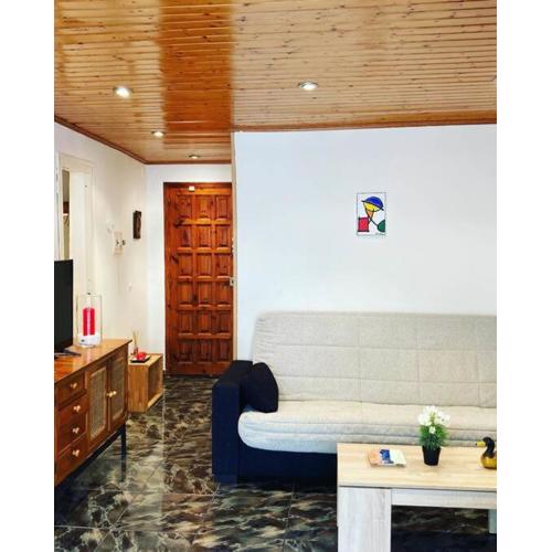 AlquilerSalou Estudio 1-10