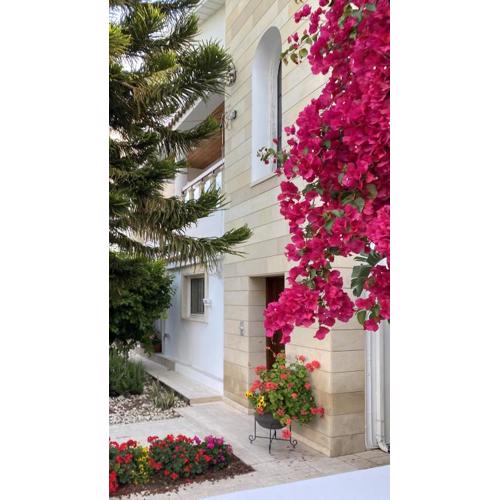 AltaVita - Serviced upper house with heraldic features