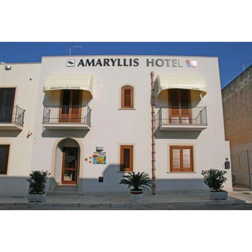 Amaryllis