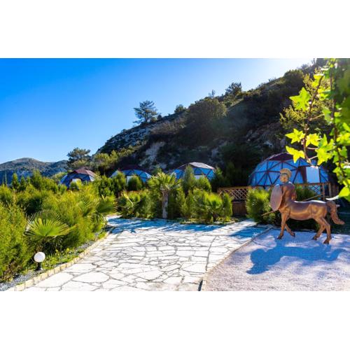 Amazing Cyprus Glamping Domes - Glamping Cyprus