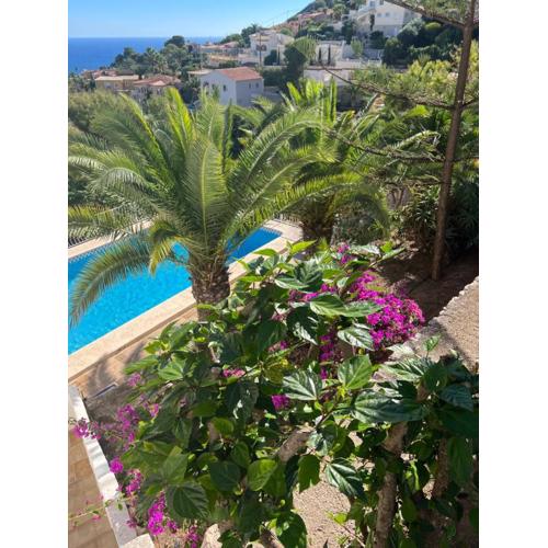 Amazing view villa