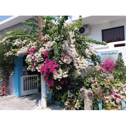 Amfi Apartments