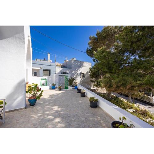Amoni House- An authentic village stay