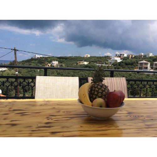 Anatoli View