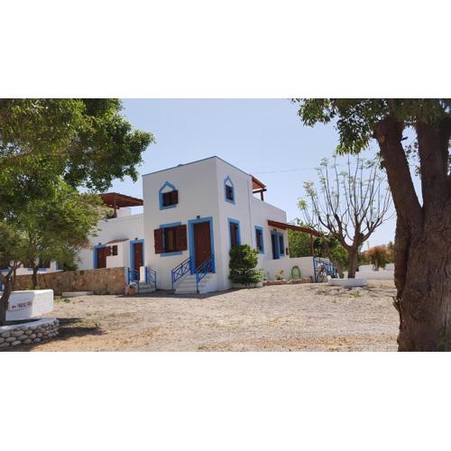 Andreas Studios