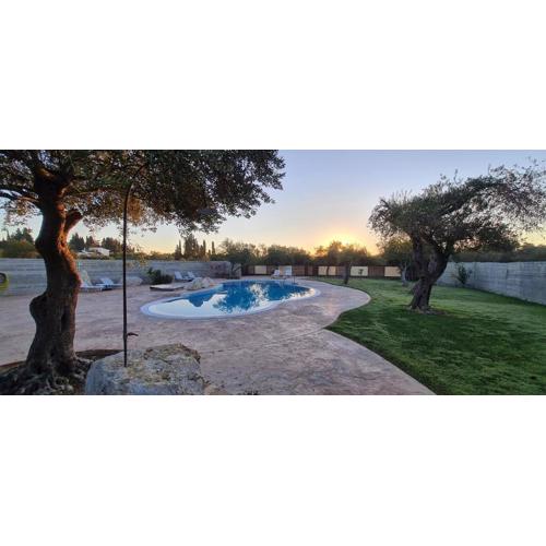 ANEMOMYLOS Lefkimmi LUXUS SUITES-BOUTIQUE HOTEL & POOL