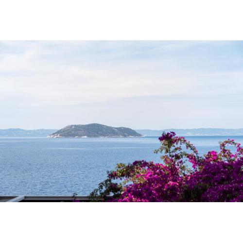 Anesis Seaview apartment 1