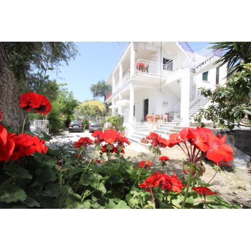 Angeliki Studio & Apartment