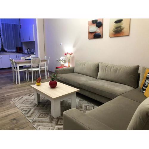 Ani Apartament