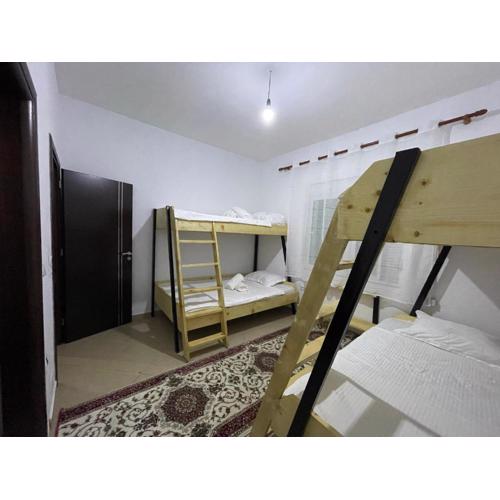 Ani Hostel