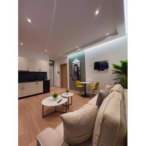 Anil luxury apartments